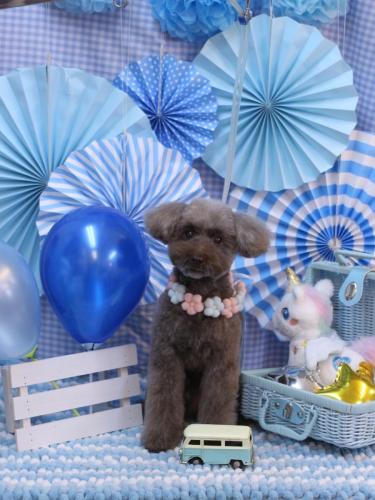 20231115ももちゃん